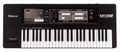 VP-550 Vocal & Ensemble Keyboard